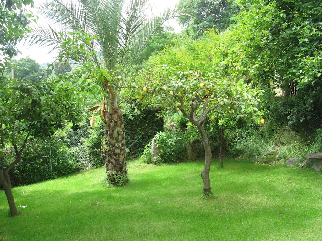 Le Roverelle Ilbono Extérieur photo